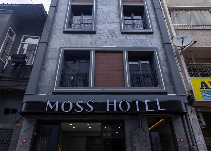 Hotel Moss Yenikapi *